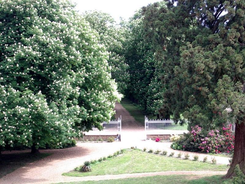 Chateau De Montbraye Parigne-l'Eveque Екстер'єр фото